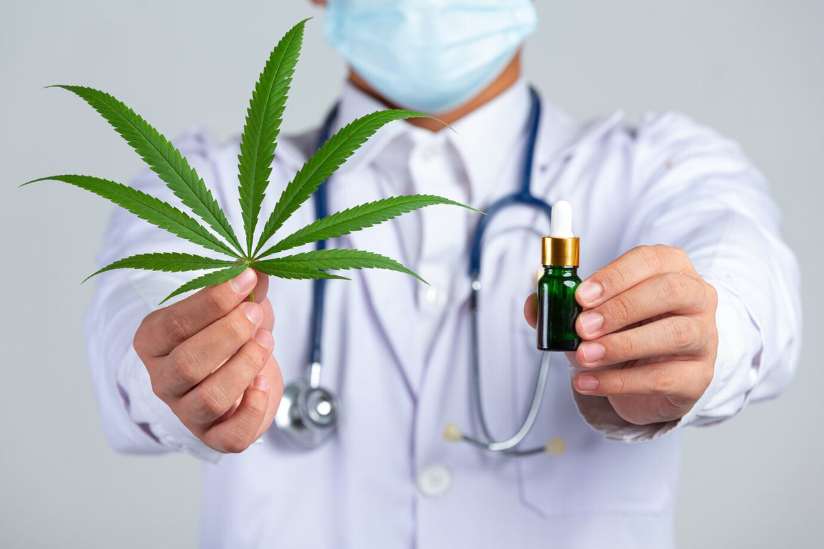 Médico sosteniendo una hoja de cannabis y una botella de aceite de cannabis en la pared blanca.